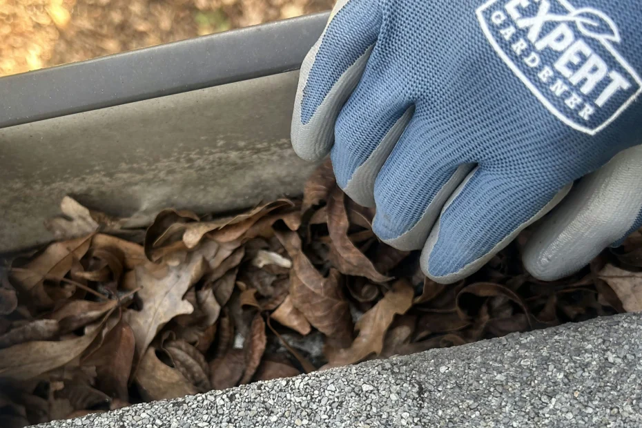 Gutter Cleaning Jamestown